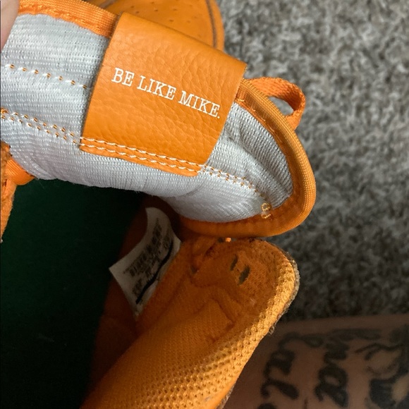 Air Jordan 1, Gatordes - Picture 5 of 6